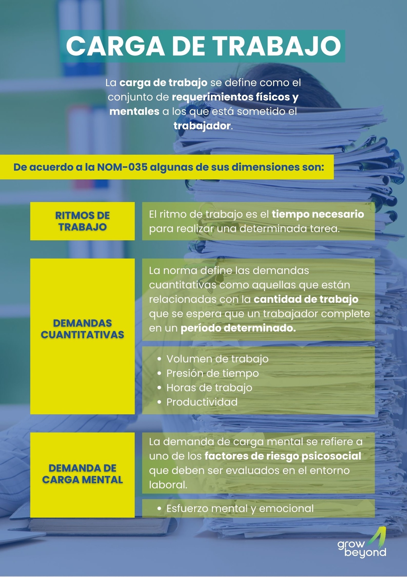 Carga de Trabajo