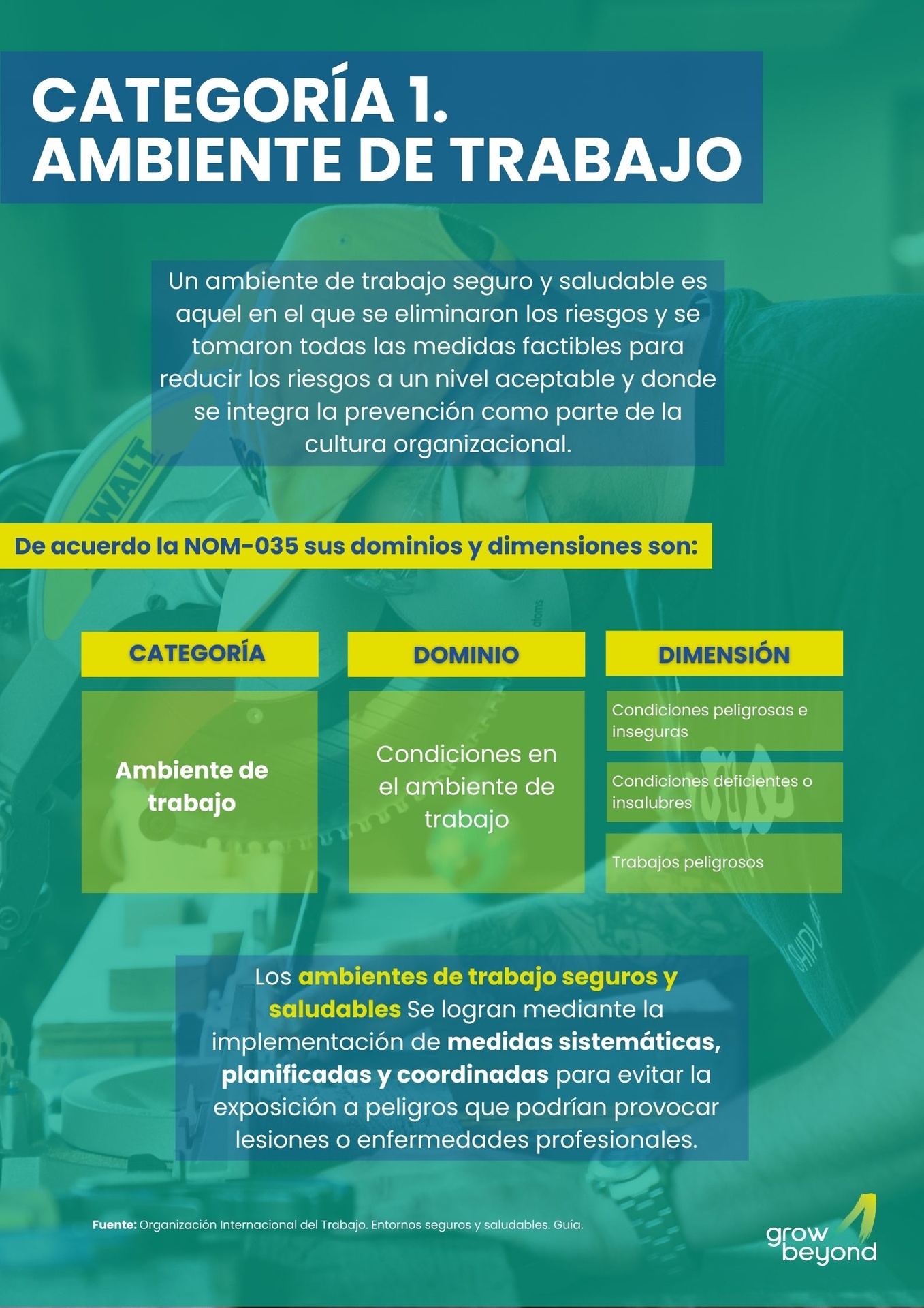Categoría 1. Ambiente De Trabajo